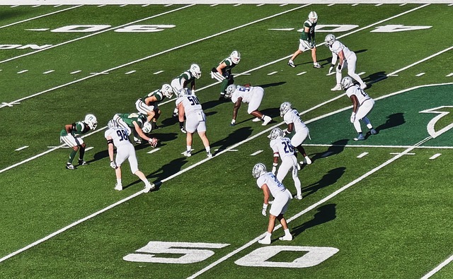 瑞典国家队 瑞典国家队