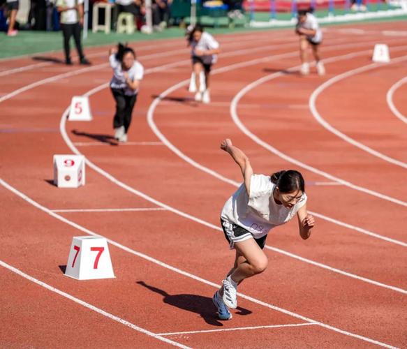 进行针对性 进行针对性