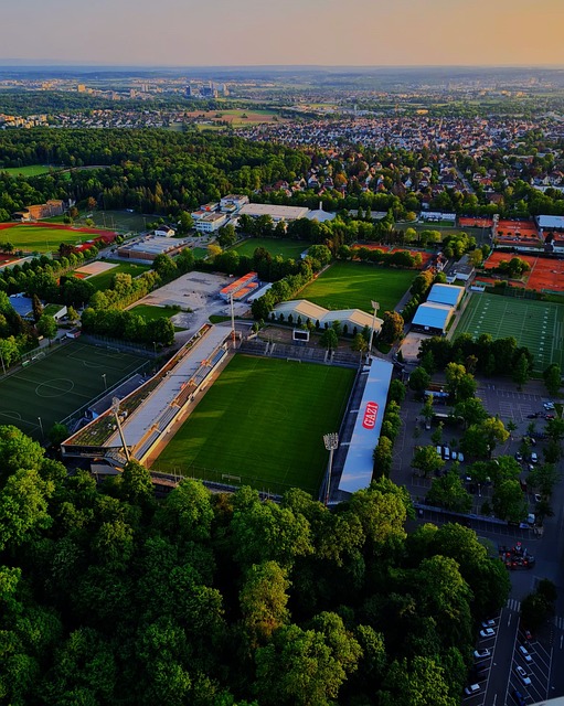 准和效率 准和效率