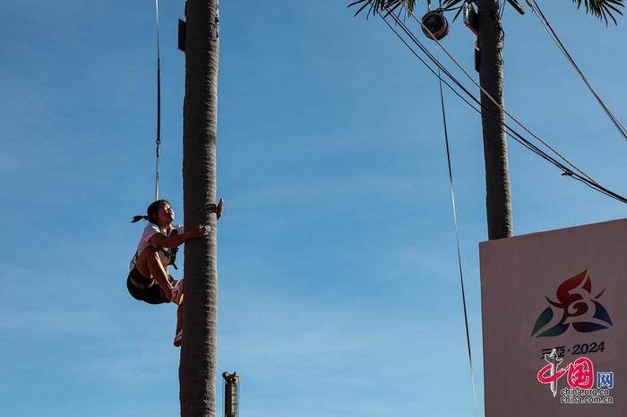 职业生涯的 职业生涯的