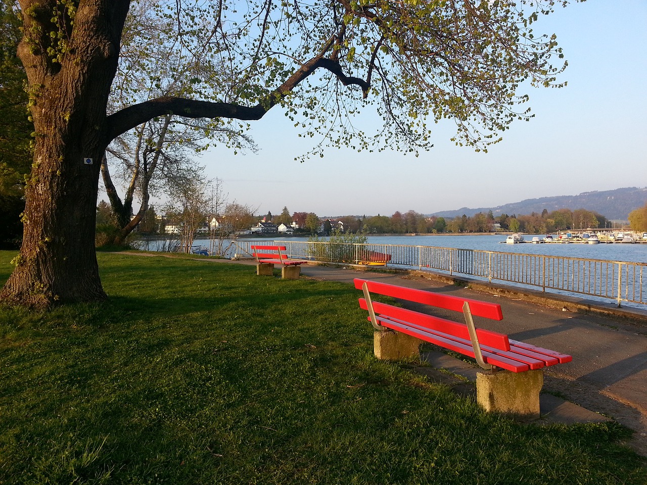 费德勒在接 费德勒在接